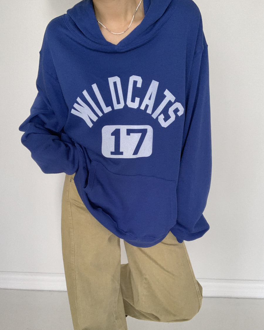 Wildcats Lightweight Terry Hoodie (blue)