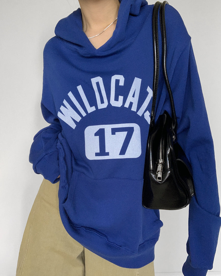 Wildcats Lightweight Terry Hoodie (blue)