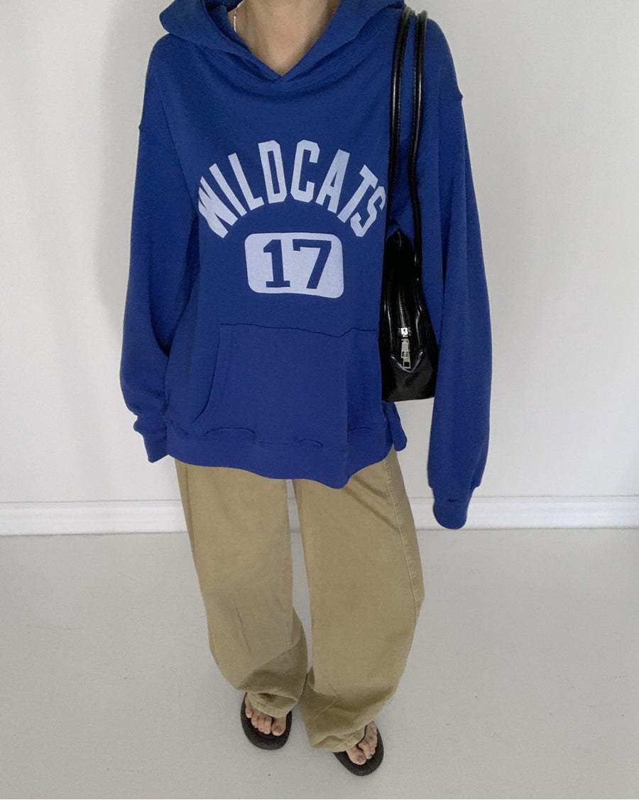 Wildcats Lightweight Terry Hoodie (blue)