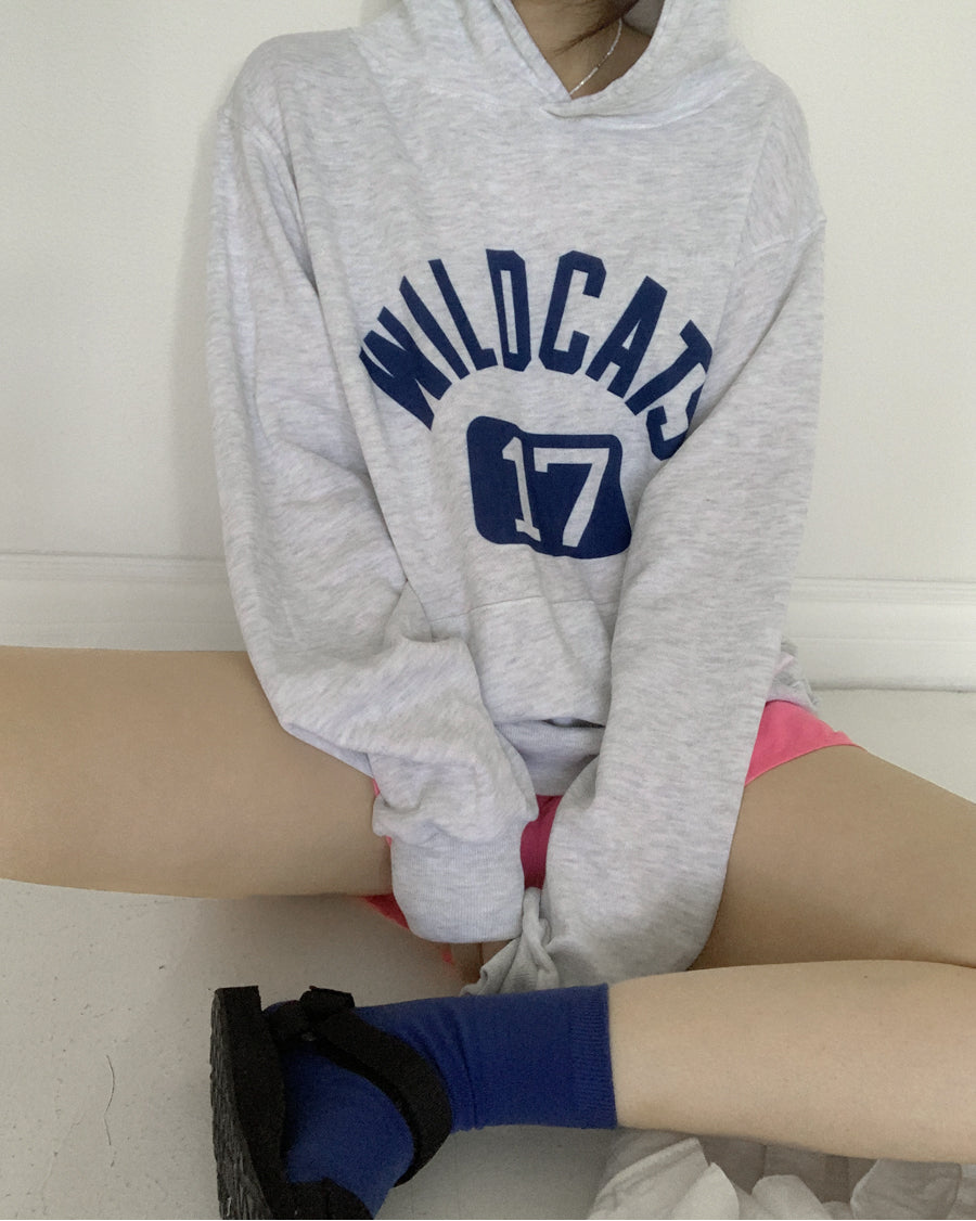 Wildcats Lightweight Terry Hoodie (light heather)