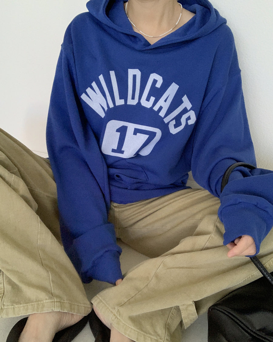 Wildcats Lightweight Terry Hoodie (blue)