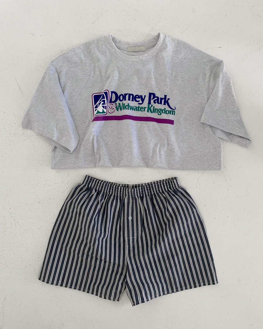 dorney park tee