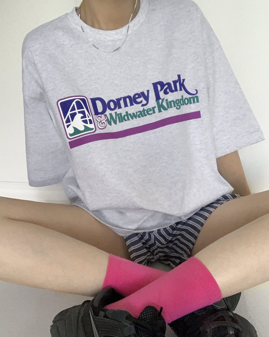 dorney park tee
