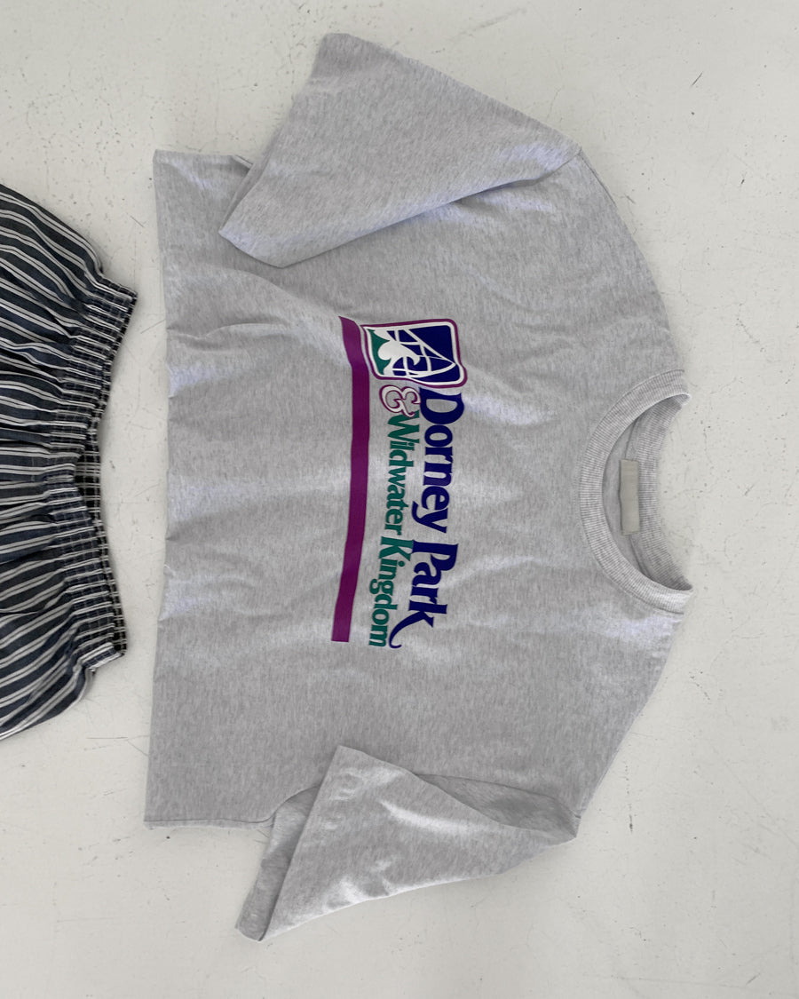 dorney park tee