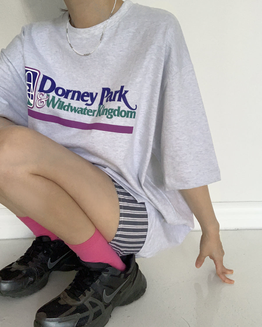 dorney park tee